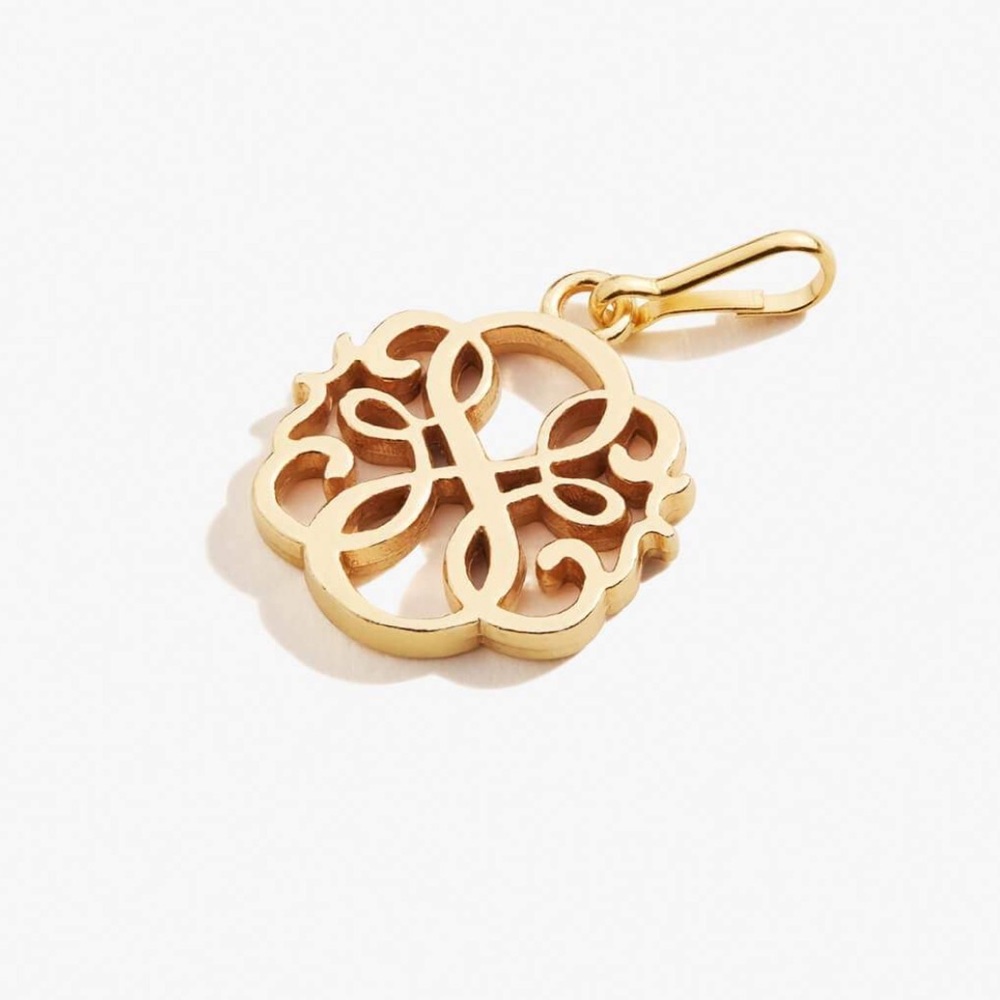 Alex and Ani Path of Life Charm